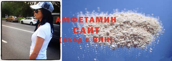 гашик Каменка