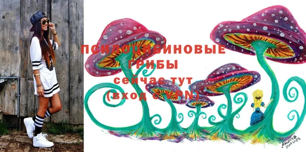 сатива Абаза